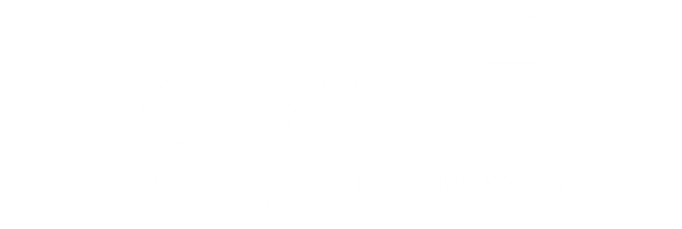 AE CONSTRUCTORA